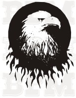 /album/fotogaleria-vtaky/vtaky-36-jpg/